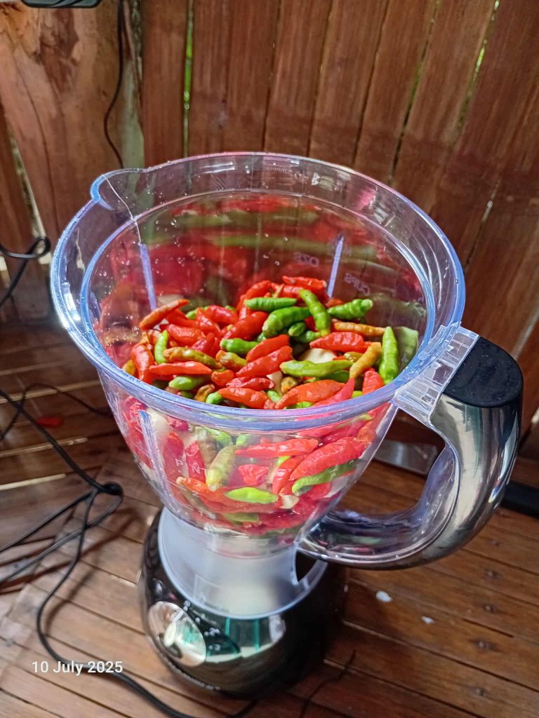 The Chili Paste That They Produce is Organic, Booming Business in Rural Kalinga