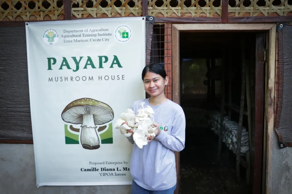 Trial and Error to Organic Mushroom Growing Success